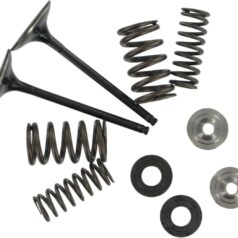INTAKE VALVE & SPRING KIT TITANIUM RETAINER