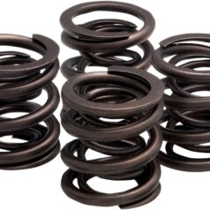 SPRING ONLY OEM REPLACEMENT KIT