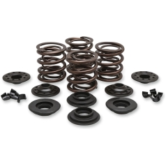 SPRING KIT OEM REPLACEMENT STEEL RETAINER