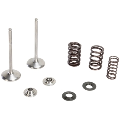 INTAKE VALVE & SPRING KIT TITANIUM RETAINER