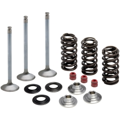INTAKE VALVE & SPRING KIT TITANIUM RETAINER