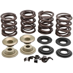 SPRING KIT RACING STEEL RETAINER