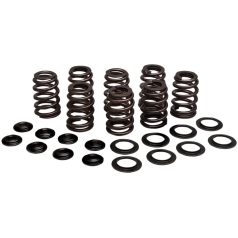 SPRING KIT BEEHIVE STEEL RETAINER