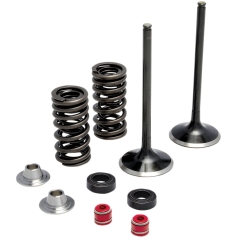 INTAKE VALVE & SPRING KIT TITANIUM RETAINER