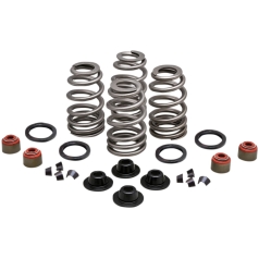 SPRING KIT BEEHIVE STEEL RETAINER
