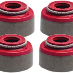 SEAL VLV GD KTM/HUS 8/PK