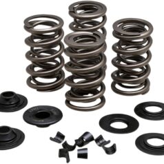 SPRING KIT .650"VL EVO/TC
