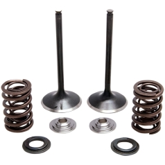 SPRING KT INT TRX450R 04-