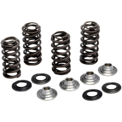 SPRING KIT YZ250F 2019