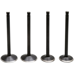 VALVE KIT 86-03 EVO/883