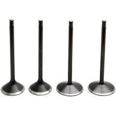 VALVE KIT 04-17 EVO/1200
