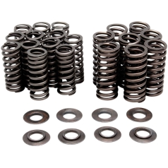 VALVE SPRING ONLY KIT