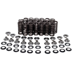 VALVE SPRING KIT YZFR1