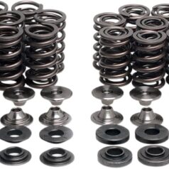 VALVE SPRING KIT ZX10R