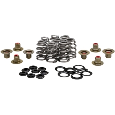 SPRING KIT BHIVE M8 .625