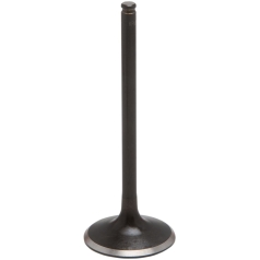VALVE INT BD STD