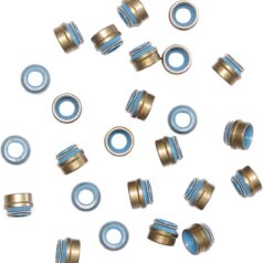 VALVE STEM SEAL VITON EVO BT
