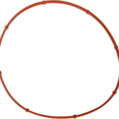 DERBY COVER O-RING GASKET TC