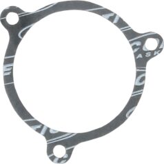 GASKET AIRBOX-THR BDY