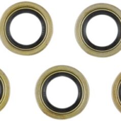 STARTER SHAFT SEAL EVO-BT