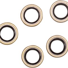 SHIFTER SHAFT SEAL EVO-BT