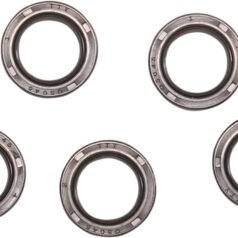 STARTER SHAFT SEAL EVO-BT