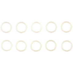 FILLER PLUG WASHER EVO-BT