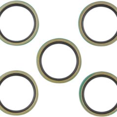MAINSHAFT DOUBLE-LIP SEAL BT