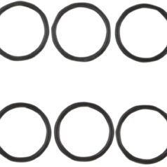 DIPSTICK COVER O-RING EVO-BT