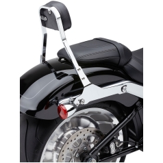 BACKREST DET MINI CHR