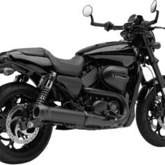MUFFLERS 4" SLIP-ONS EL DIABLO RAVEN/BLACK