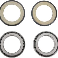STEERING STEM BEARING & SEAL KIT APRILIA/DUCATI/KAWASAKI