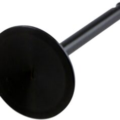 VALVE BLACK DIAMOND INTAKE