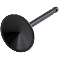 VALVE BLACK DIAMOND INTAKE