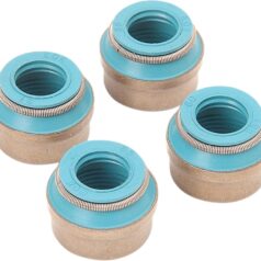 SEALS VALVE STEM