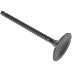 VALVE BLACK DIAMOND INTAKE