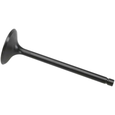 VALVE BLACK DIAMOND INTAKE