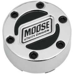 CENTER CAP FOR 393X WHEELS