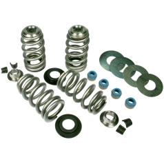 VALVE SPRING KIT ENDURANCE BEEHIVE