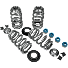 VALVE SPRING KIT ENDURANCE BEEHIVE