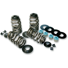 VALVE SPRING KIT ECONO BEEHIVE
