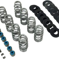 VALVE SPRING KIT ENDURANCE BEEHIVE