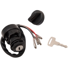 IGNITION SWITCH POL MSE
