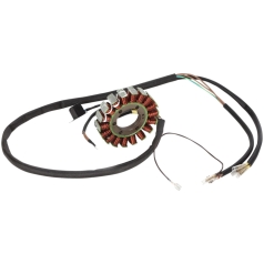 STATOR