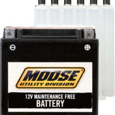 BATTERY MAINTENANCE-FREE