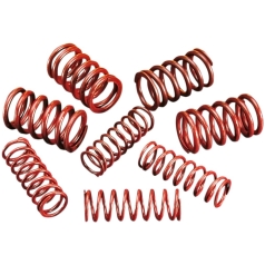 HIGH-LIFT VALVE SPRINGS