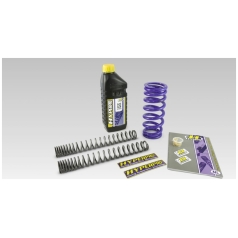 LOWERING FRONT & REAR SPRING KIT (-50 MM) BMW
