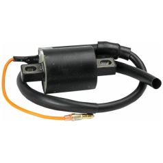 COIL IGNITION