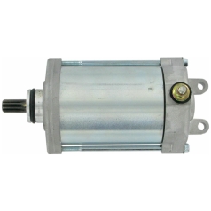 STARTER MOTOR OEM