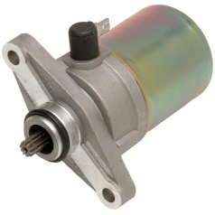 STARTER MOTOR OEM